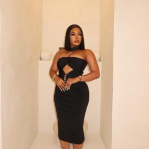Folded Detailing Bandage Dress